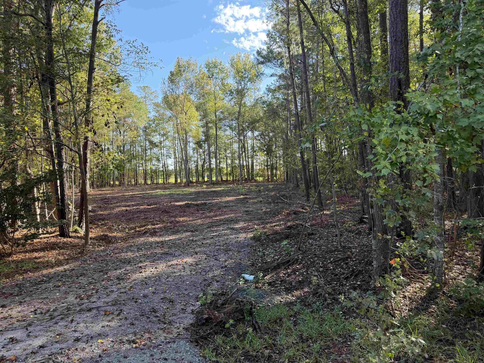 Property Photo:  Tract 1 Wise Rd.  SC 29526 