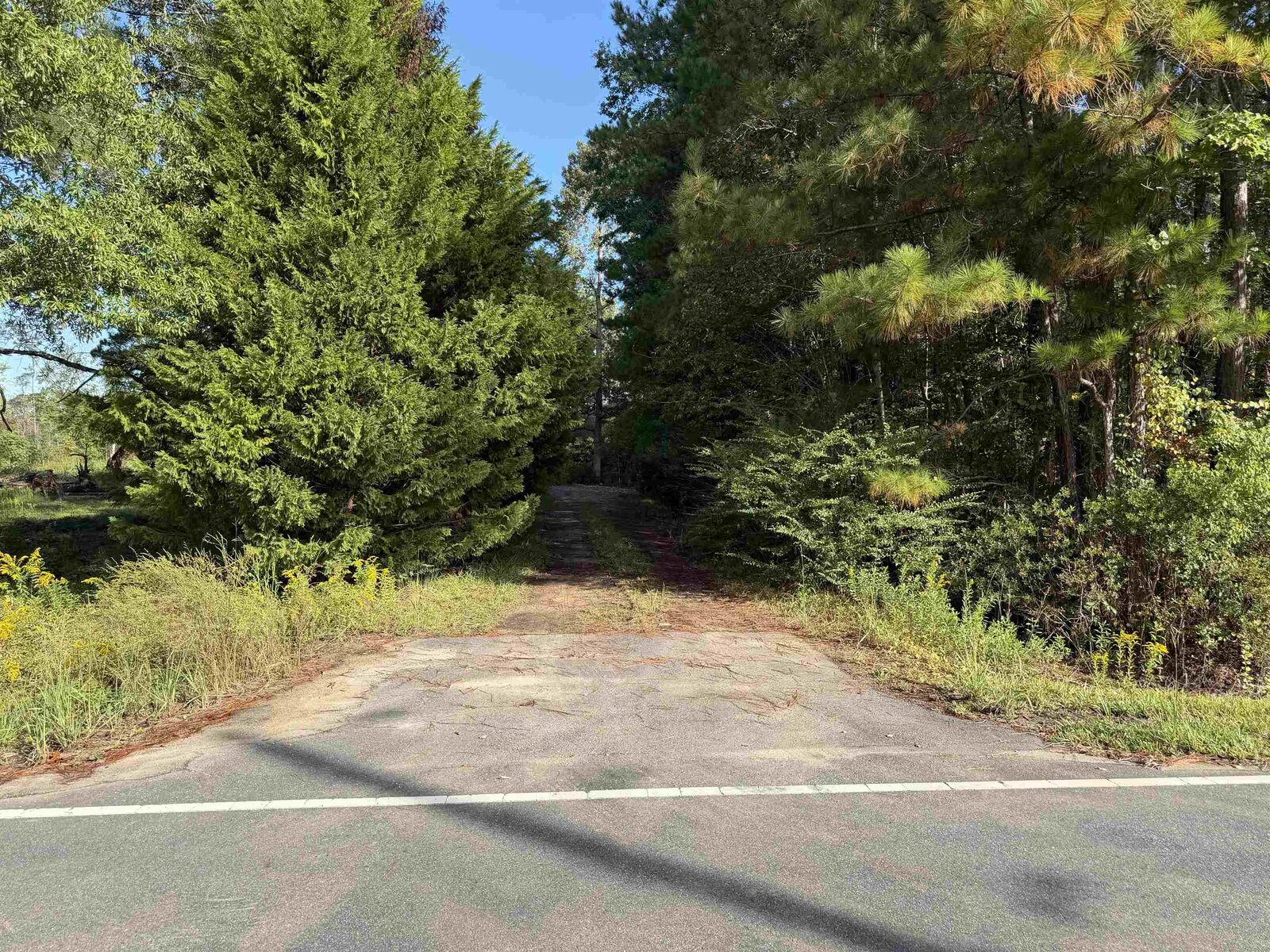 Property Photo:  Tract 4 Wise Rd.  SC 29526 