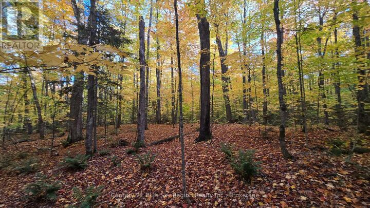 Property Photo:  Wolfe Lake Road  ON P0H 1Z0 