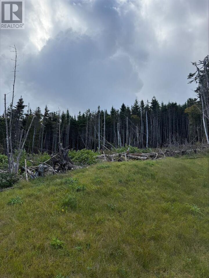 Property Photo:  Lot 13 Southern Shore Highway  NL A0A 2H0 