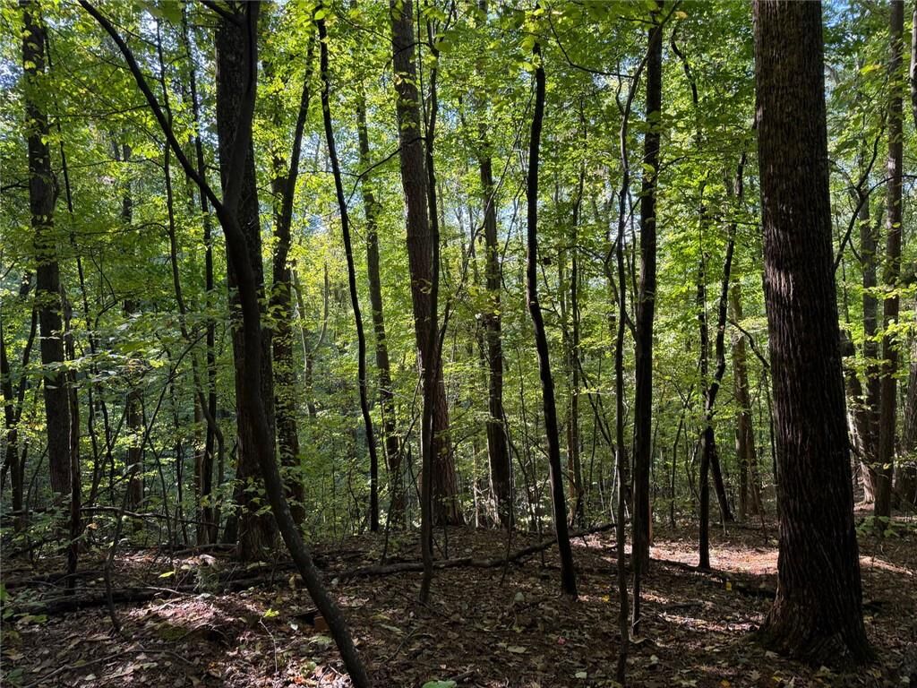 Property Photo: J349 Mountain View Court GA 30536