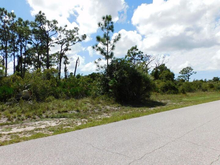 Property Photo:  12387 Hathaway Terrace  FL 33981 