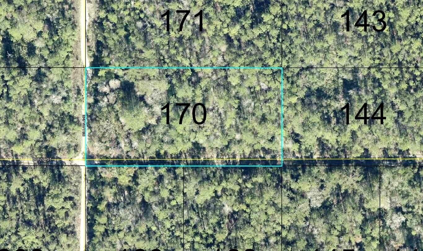 Property Photo:  170 Dilllion Avenue  FL 32145 