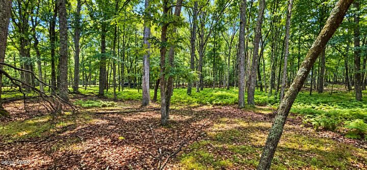 Property Photo:  293 Red Rock Circle  PA 18428 