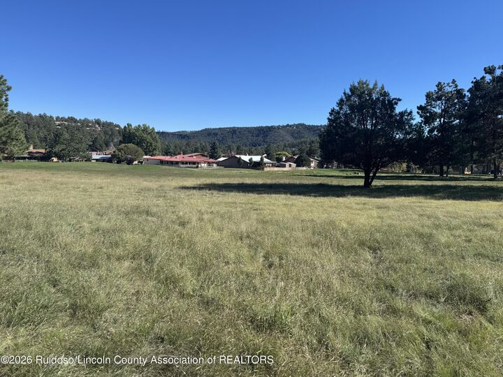 Property Photo:  119B Eagle Drive N  NM 88345 