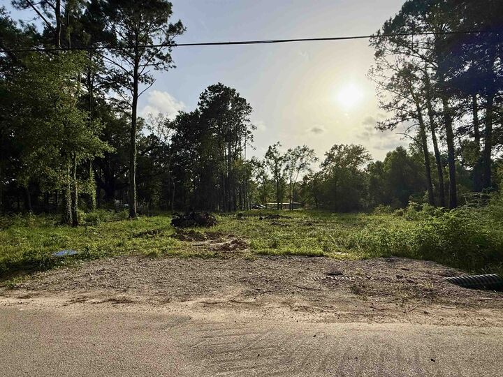 Property Photo: 11895 Cooks Lake Rd. TX 77657