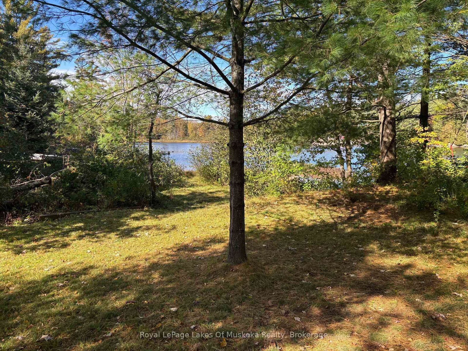 Property Photo:  1345 Highway 118 East, N/A  ON P1L 1X1 