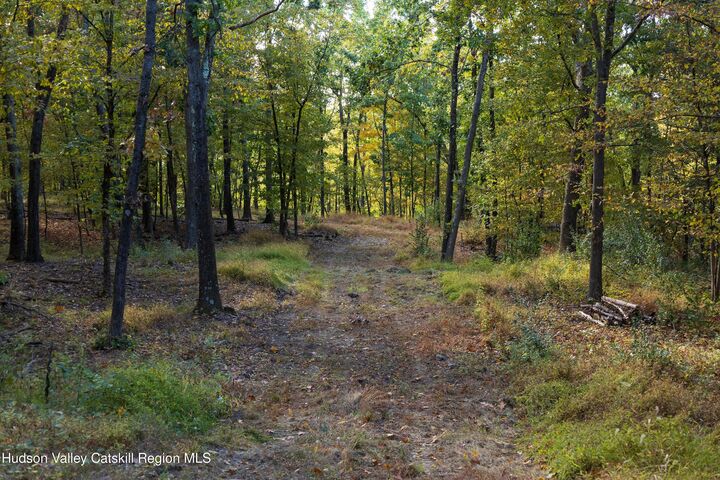 Property Photo: 0 Lot 4 Taghkanic Churchtown NY 12521