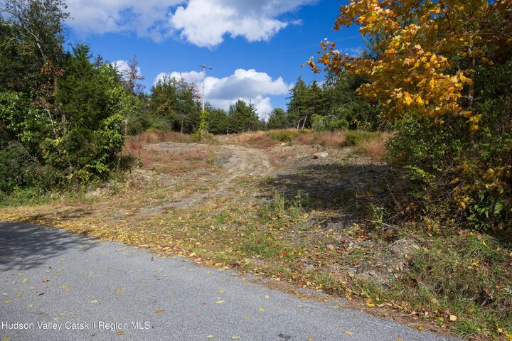 Property Photo: 0 Lot 2 Taghkanic Churchtown NY 12521