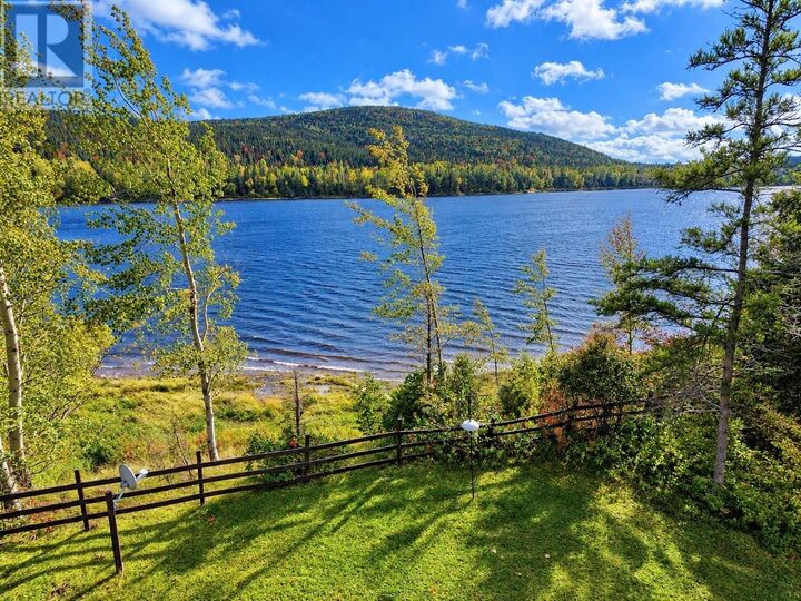 Property Photo:  494 Main Street  NL A0C 2G0 
