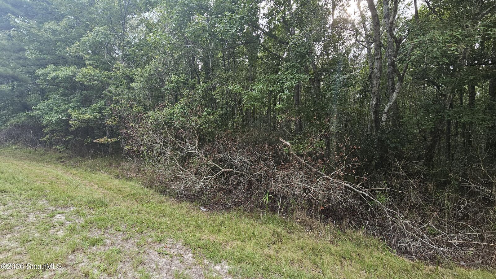 Property Photo: 00 17 Highway GA 31331
