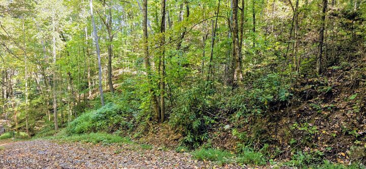 Property Photo:  Balsam Slopes Rd  TN 37862 