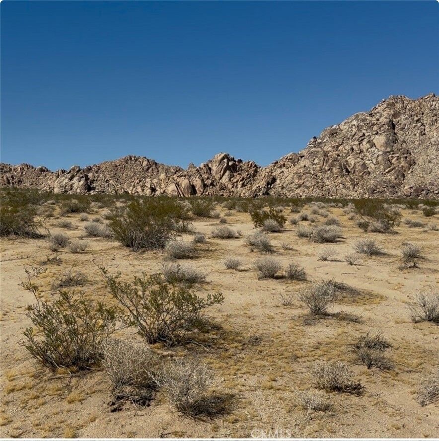 Property Photo:  0 Rabbit Springs Road  CA 92356 