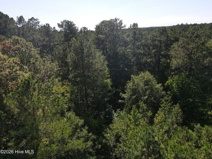 Property Photo:  Tbd Nc 305  NC 27845 