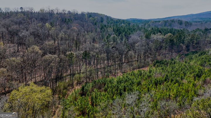 Property Photo:  34 Acres Halls Valley  GA 30165 