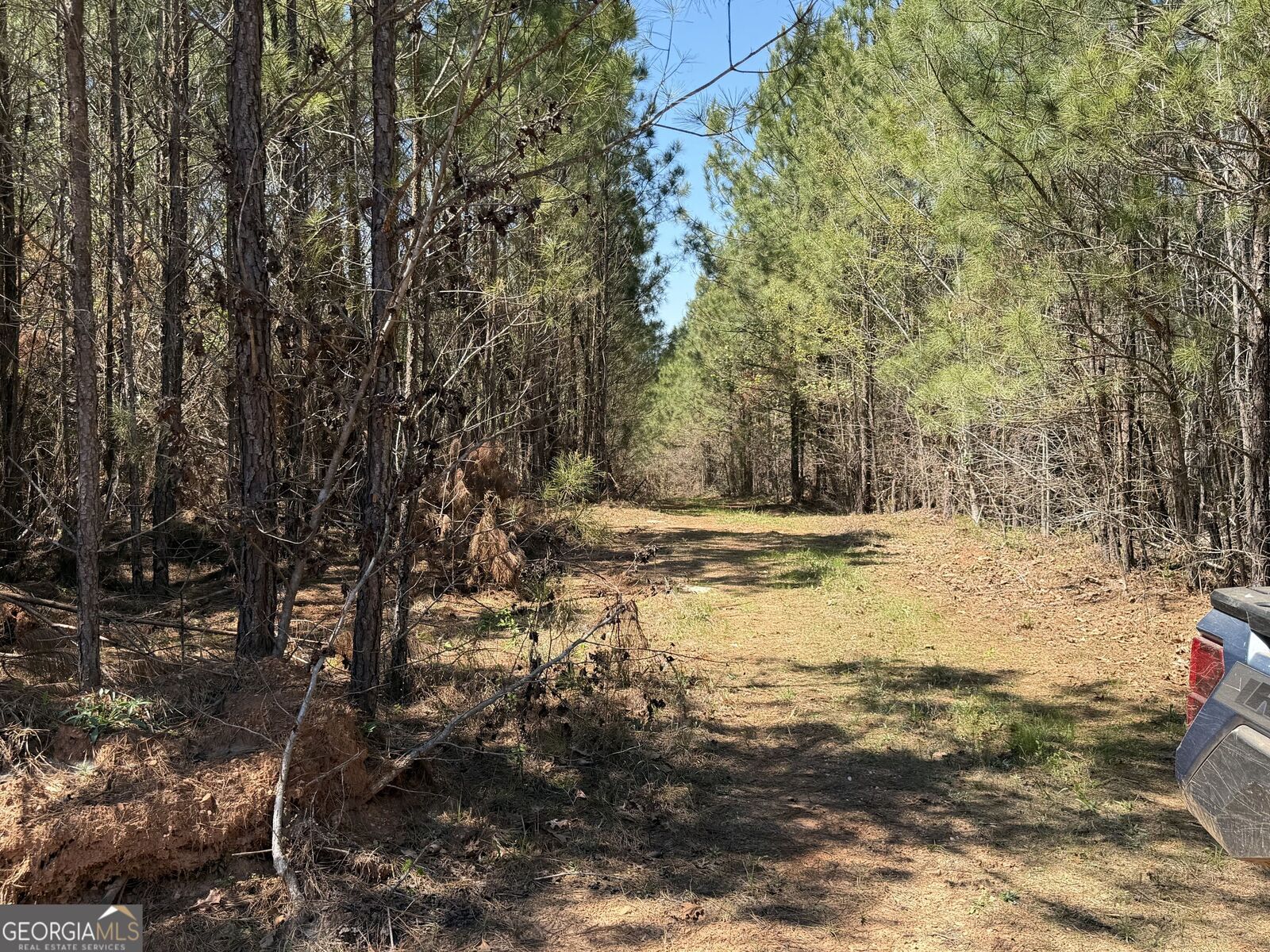 Property Photo:  0000 County Road 79  AL 36276 