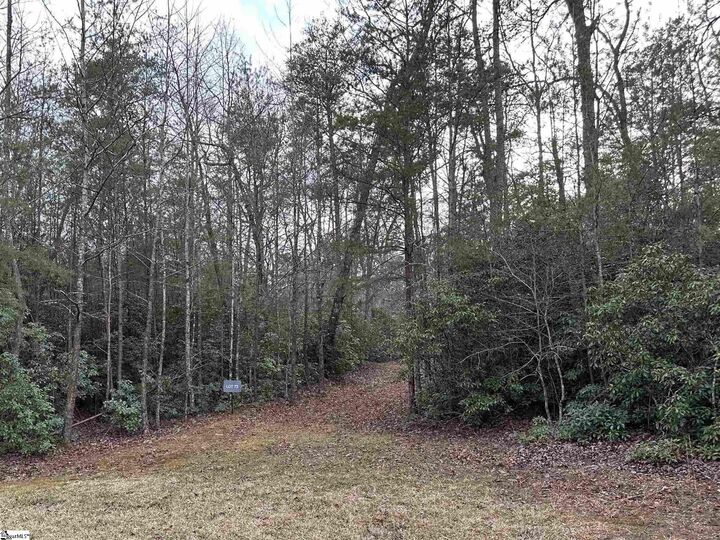 Property Photo: 105 Valley Lake Trail SC 29690