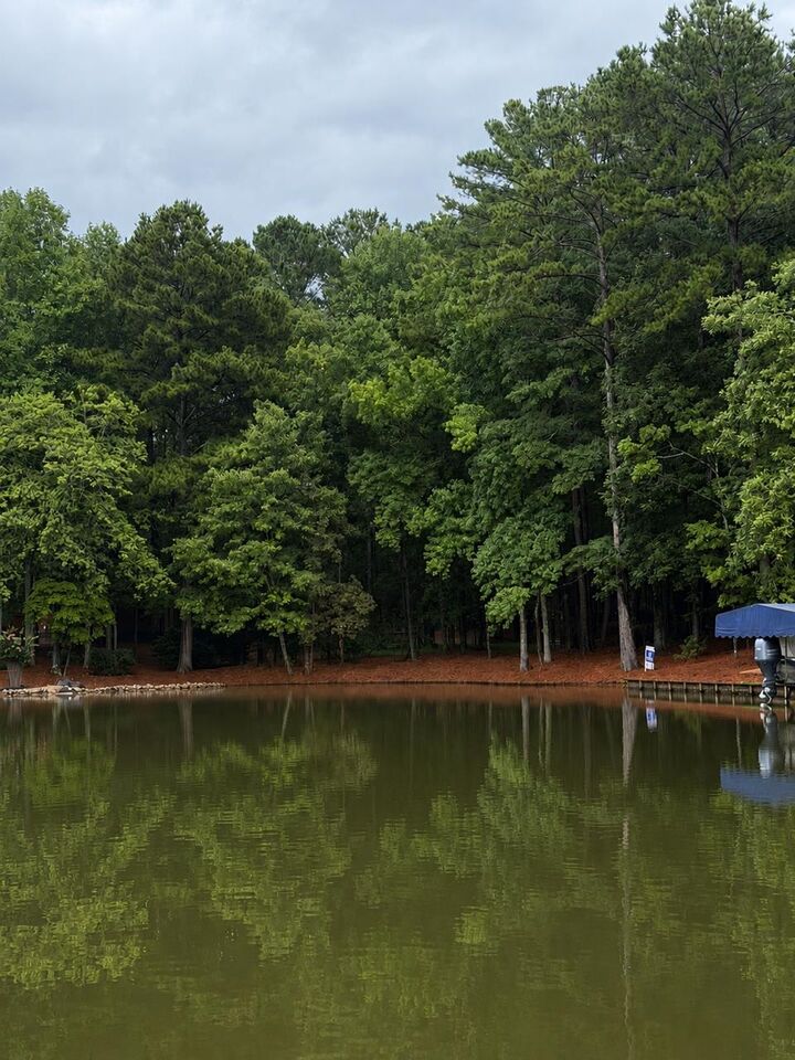 Property Photo:  1290 Tal Lewis Road  GA 30678 