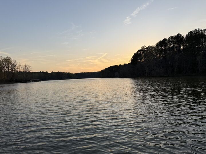 Property Photo:  1290 Tal Lewis Road  GA 30678 