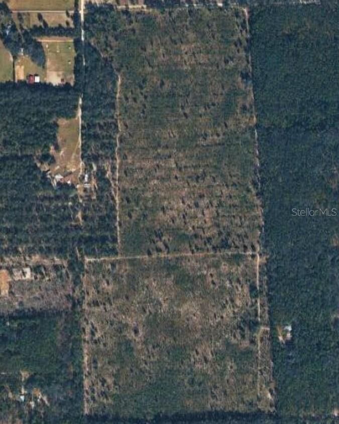 Property Photo: Tbd NE 44th Avenue FL 32643