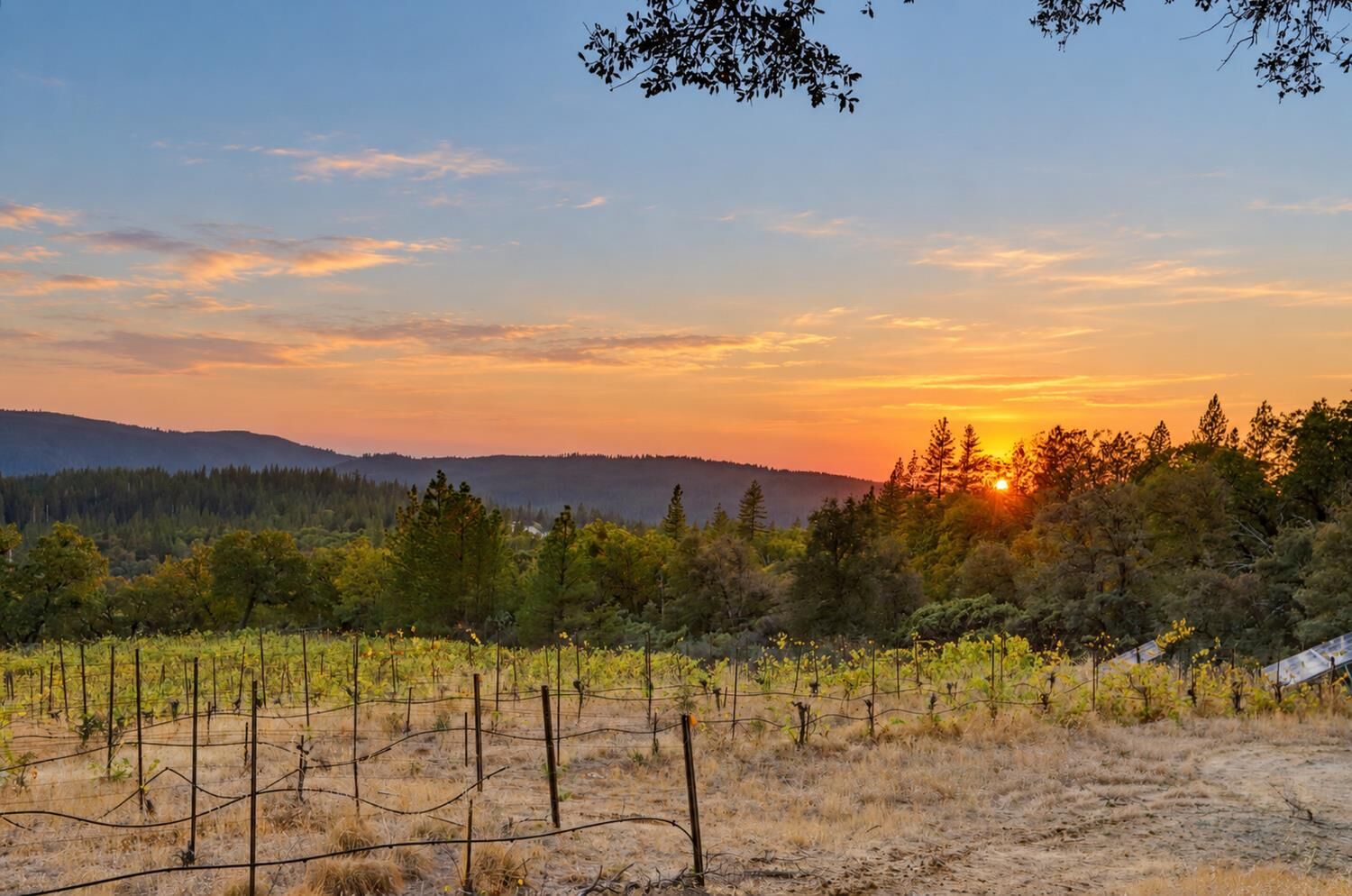 Property Photo: 19299 Lake City Road CA 95959