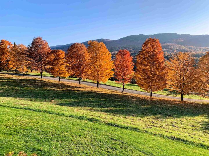 Property Photo: 277 Kneeland Hill Road VT 05677