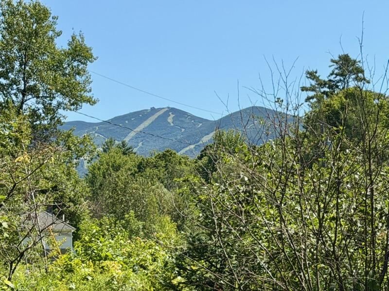 Property Photo:  43 Sawmill Lane  NH 03580-4935 