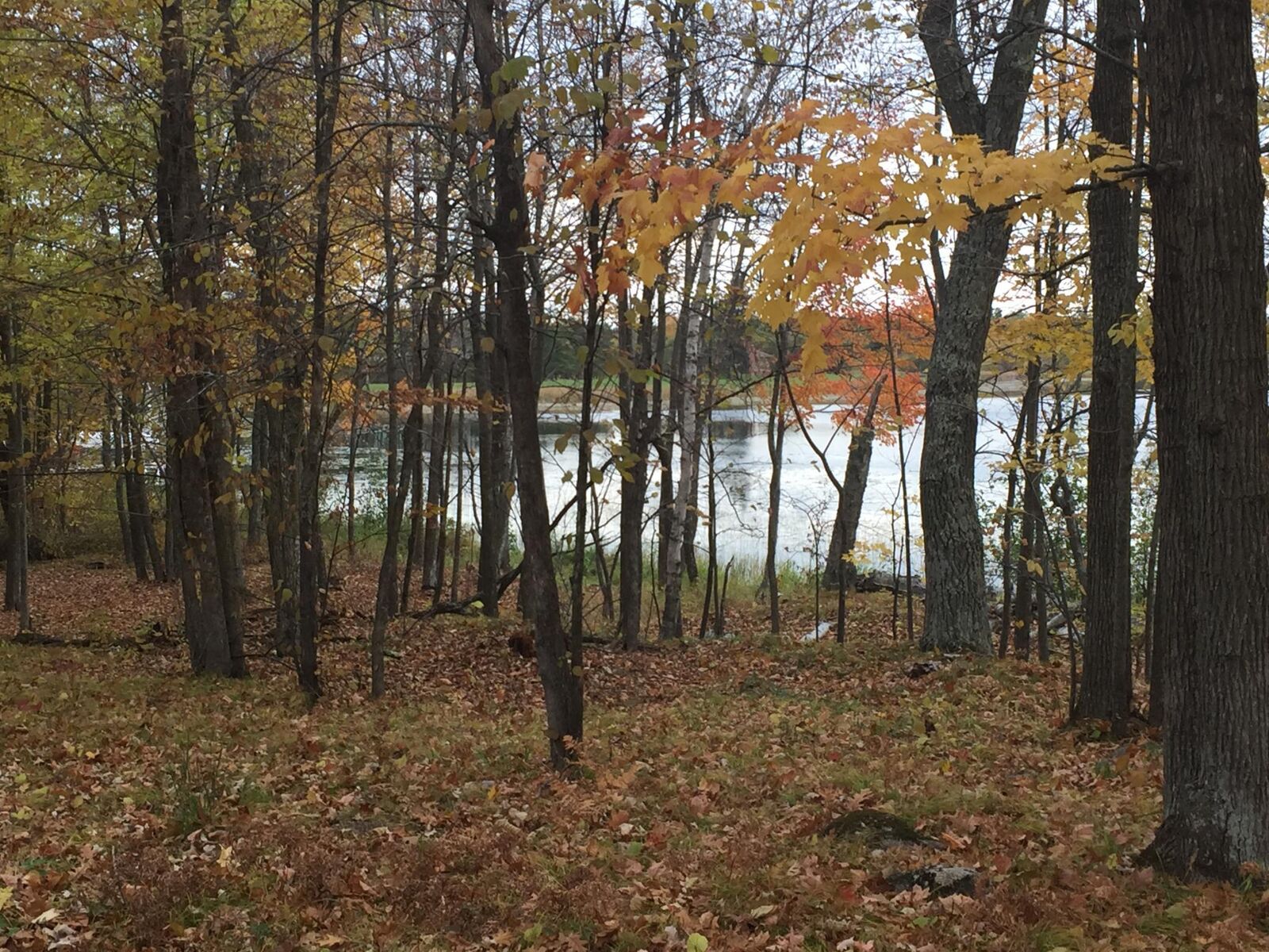 Property Photo:  Tract 1 Lower Larson Lake Road NW  MN 56452 
