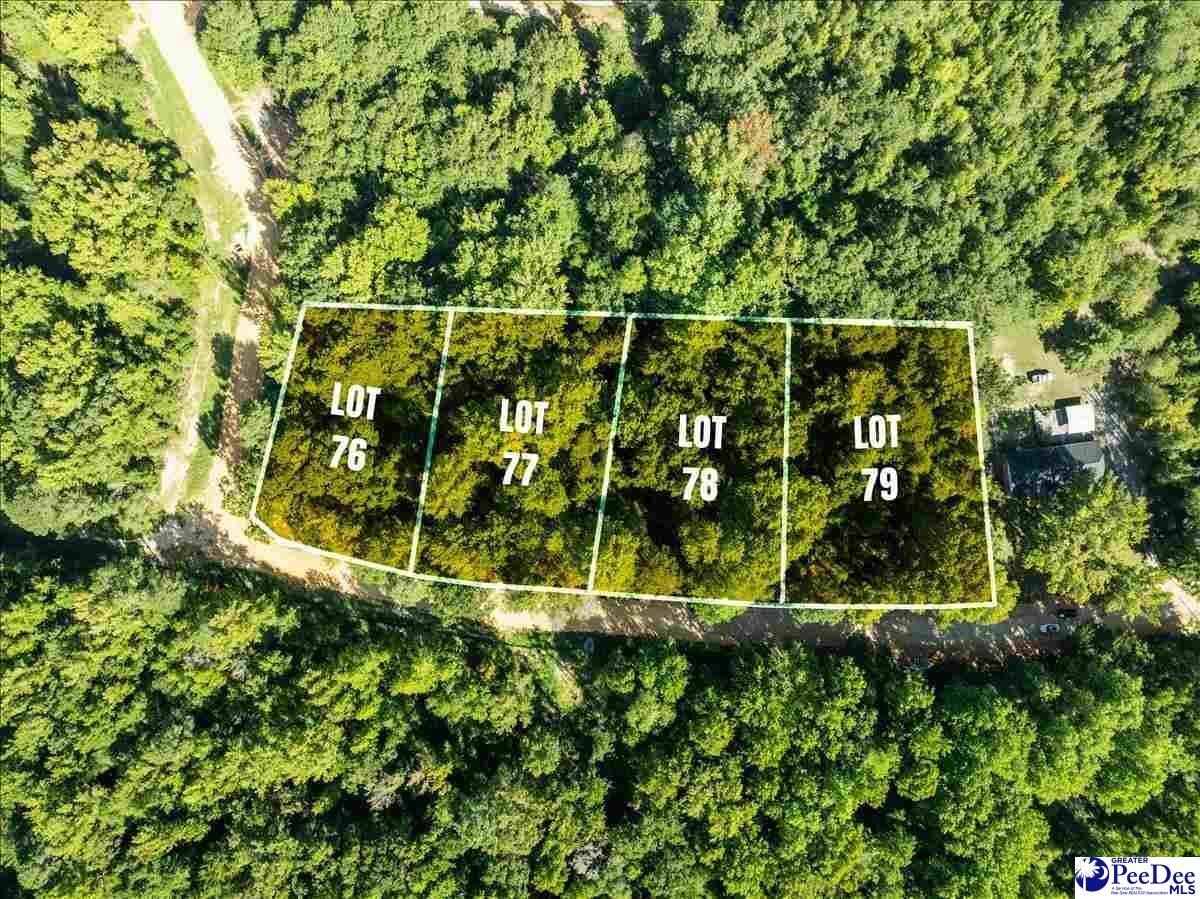 Property Photo: 0000 Jeffrey St Lot 76 SC 29520