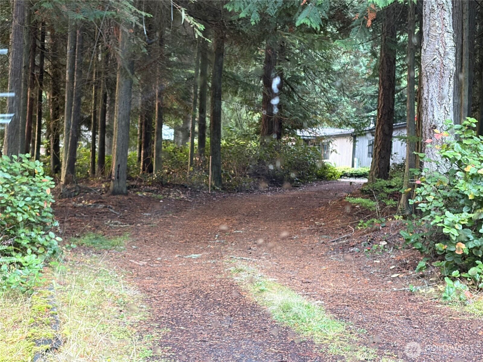 Property Photo: 150 Maxwell Avenue WA 98368