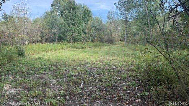 Property Photo: 0000 Cribbins MI 48032