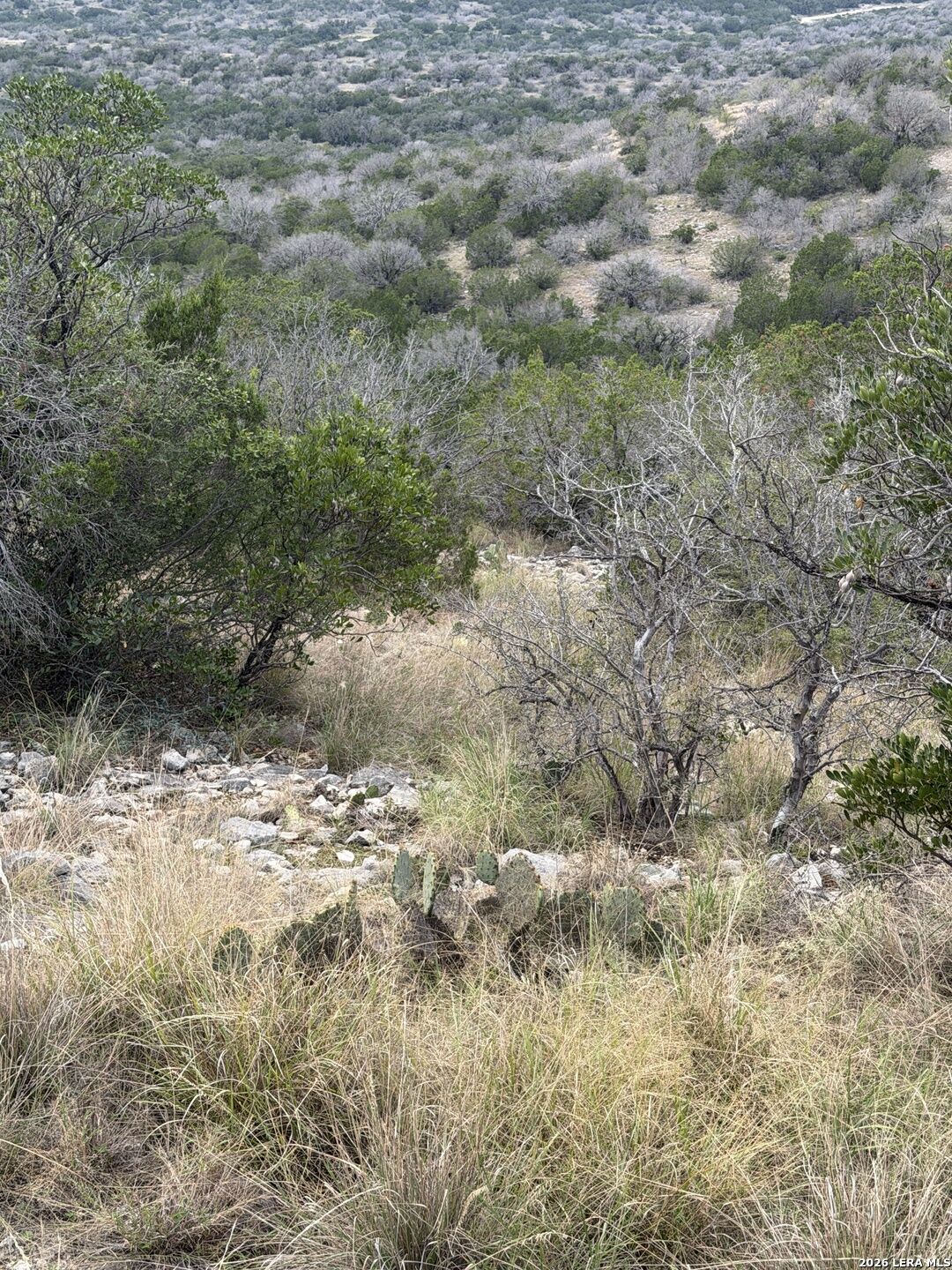 Property Photo: Tbd Sd45415 TX 78880