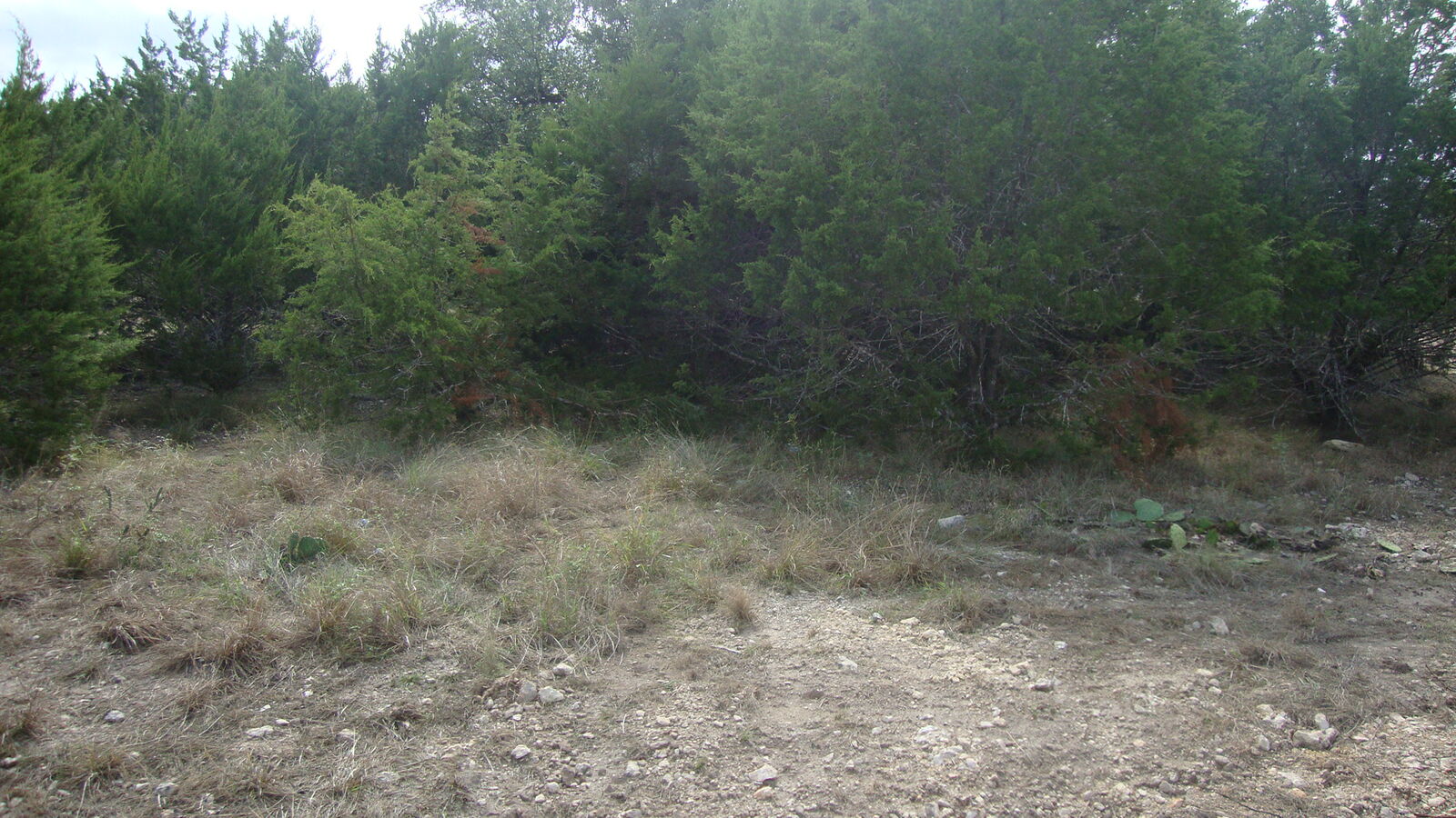 Property Photo:  21519 Patton Avenue  TX 78645 