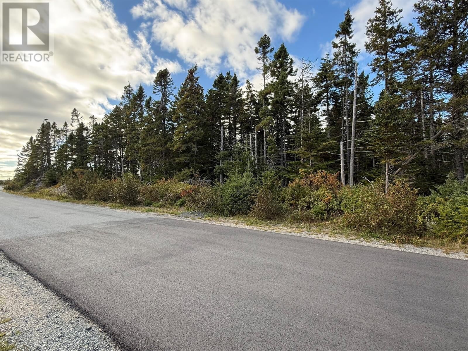 Property Photo:  184-186 Glam Road  NL A0A 1W0 