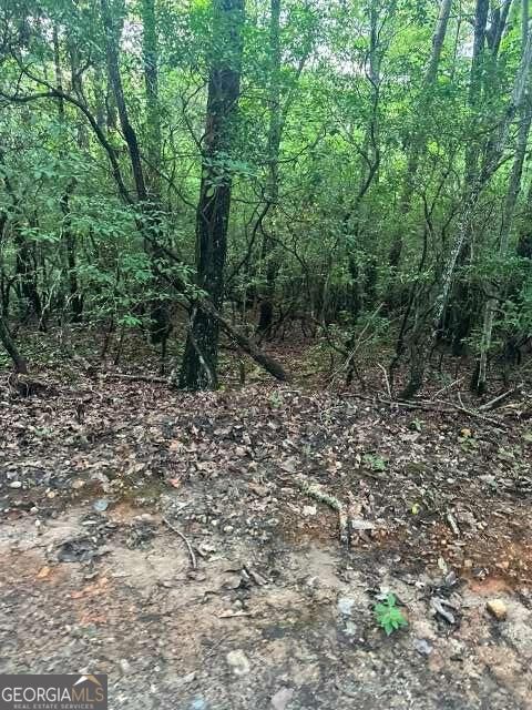 Property Photo:  Lots 3&Amp4 Amicalola Woods Road  GA 30534 