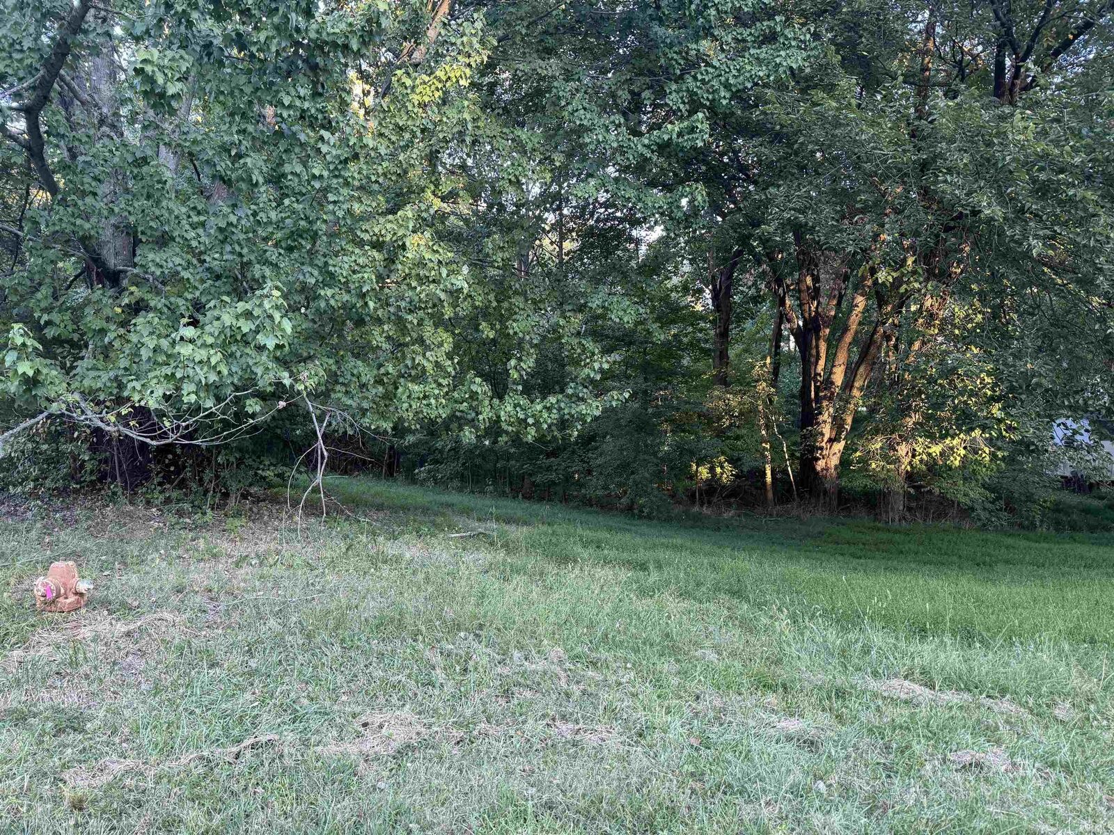 Property Photo: Ornament W. 139 And 140 In 06 IN 47579