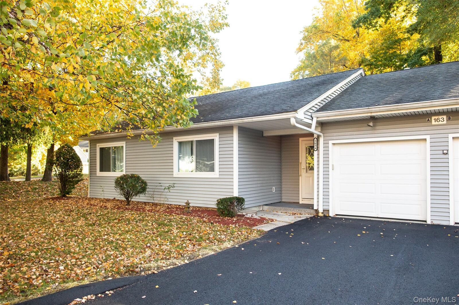 Property Photo:  163 Carriage Court A  NY 10598 