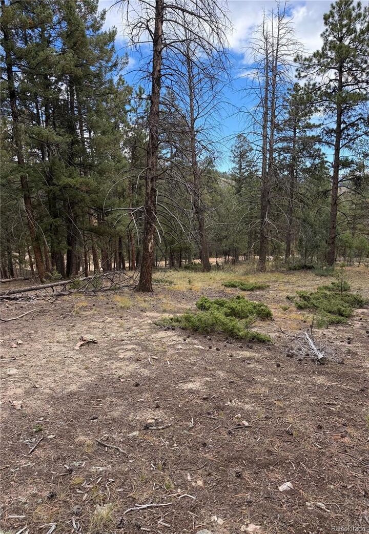 Property Photo:  0000 Tobbogan Road  CO 80407 
