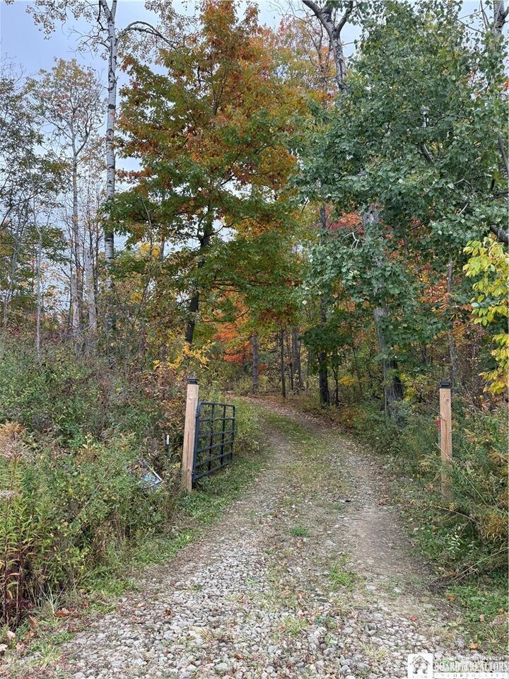 Property Photo:  3536 Watts Road  NY 14772 