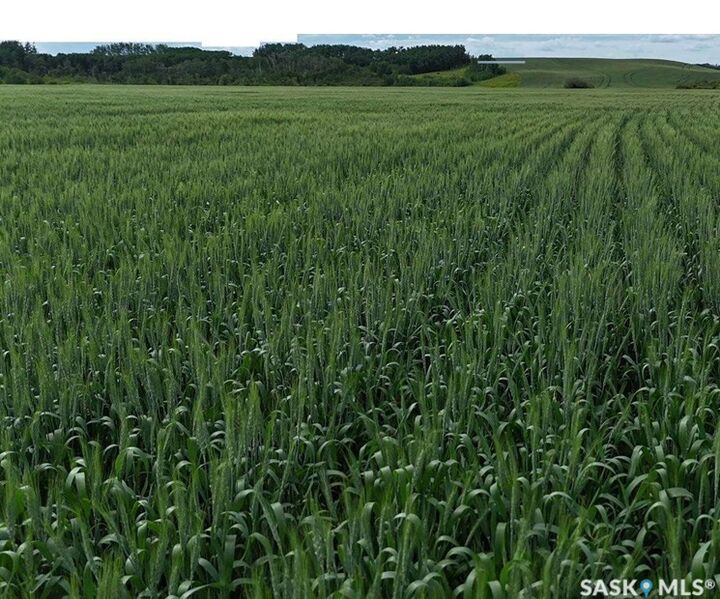 Property Photo:  Rural Address  SK S0A 4H0 