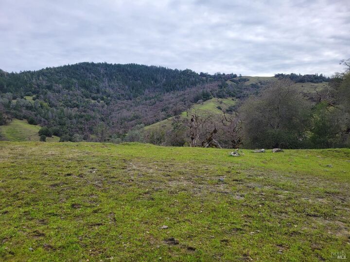 Property Photo:  0 Covelo Road  CA 95490 