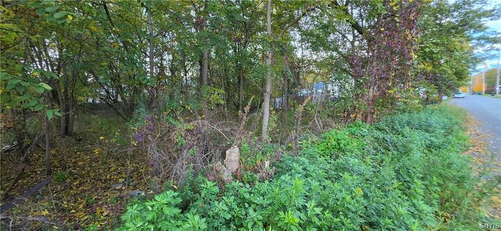 Property Photo:  32 And 34 Pine Street  NY 13045 