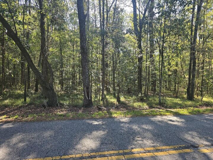 Property Photo: 2442 Peirce Road SC 29435