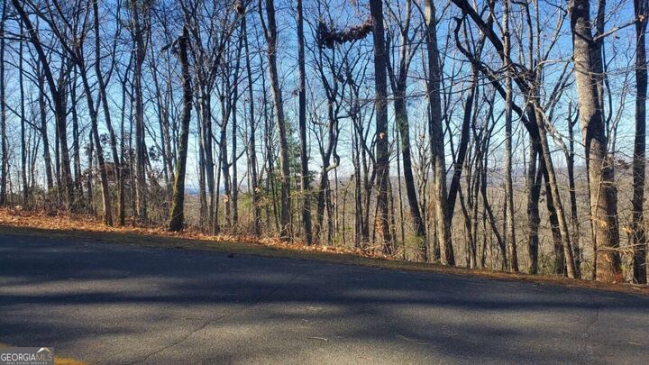 Property Photo:  Lt 171 Doll Mountain Road  GA 30540 