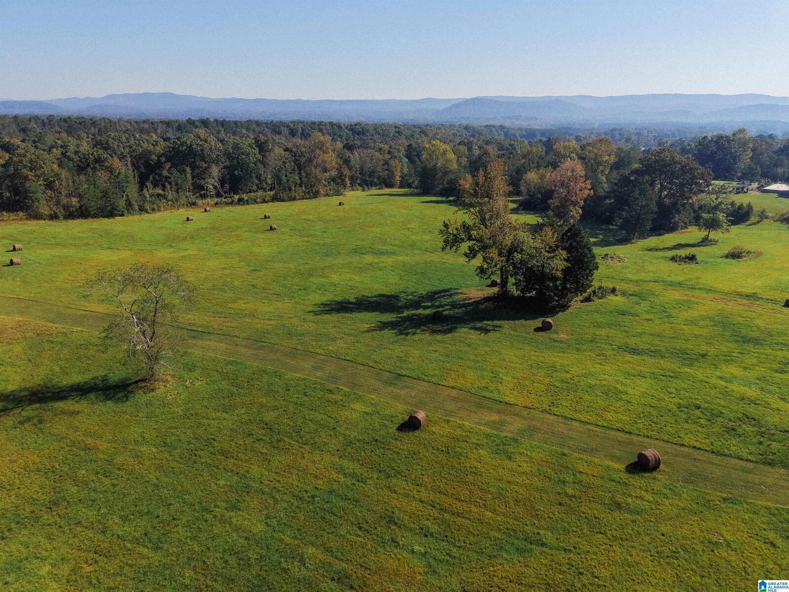 Property Photo: 0 (185 Acres) Kingsway Drive 0 AL 36207