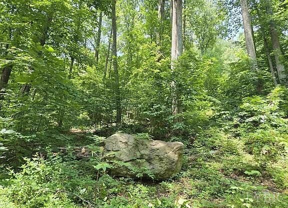 Property Photo:  44 Red Bird Drive  VA 22973 