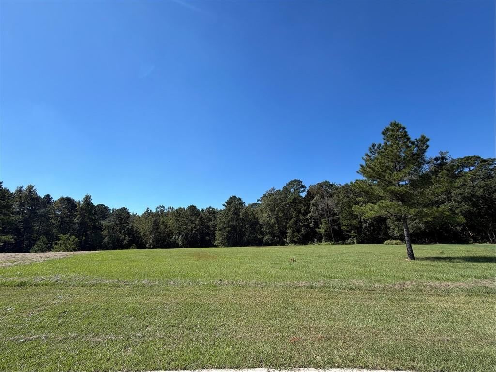 Property Photo: 169 Mount Pleasant Boulevard AL 36532