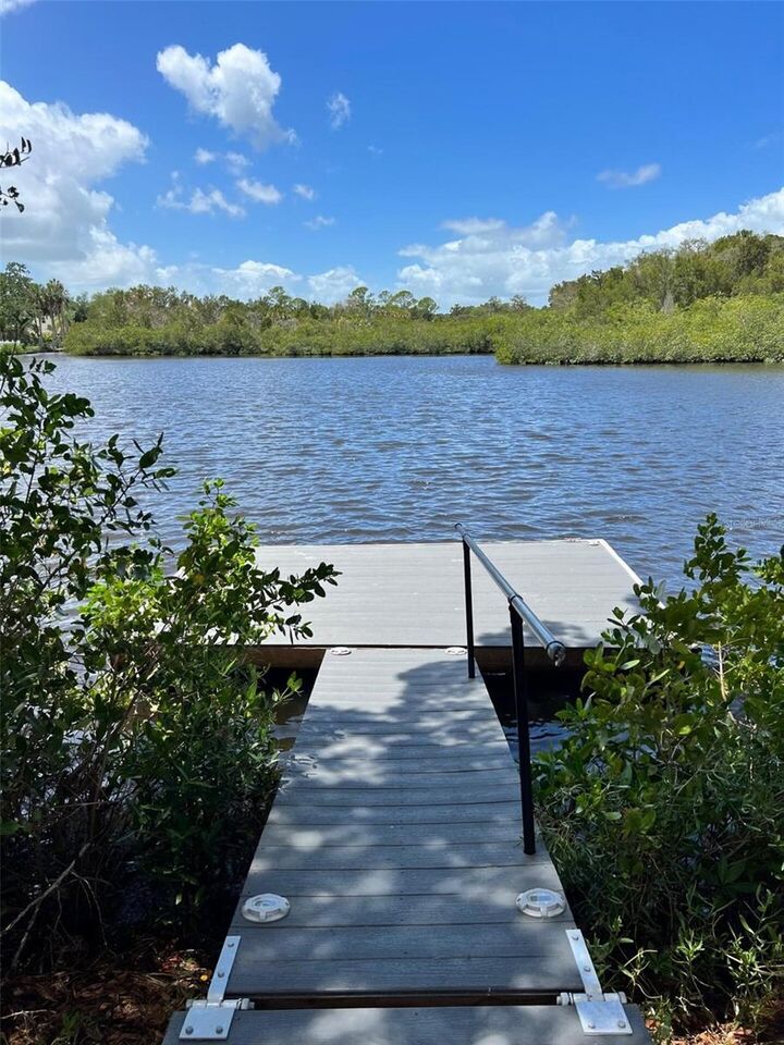 Property Photo:  5275 Miller Bayou Drive  FL 34668 