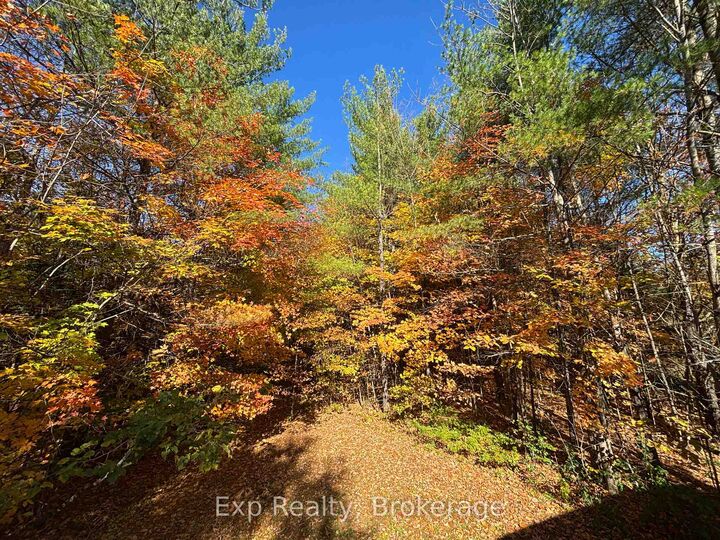 Property Photo:  794 Pinegrove Road  ON K0K 2W0 