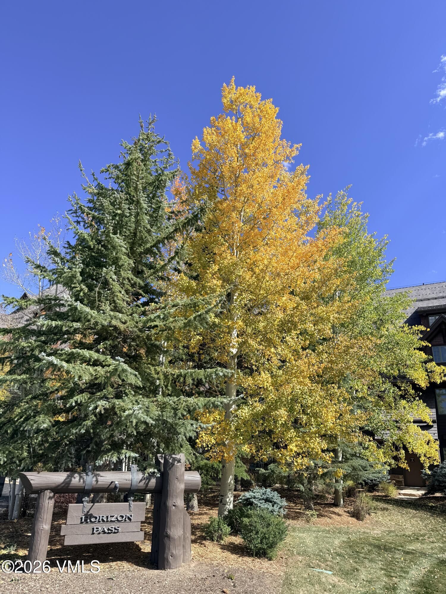 Property Photo:  50 Peakview # 313  CO 81620 